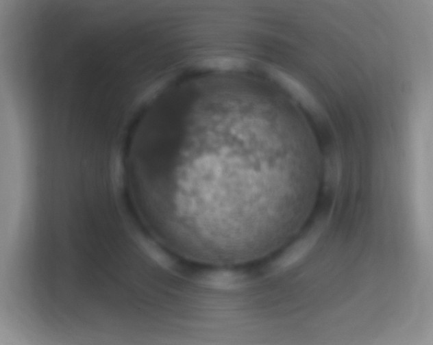 X0000114420453200910231209