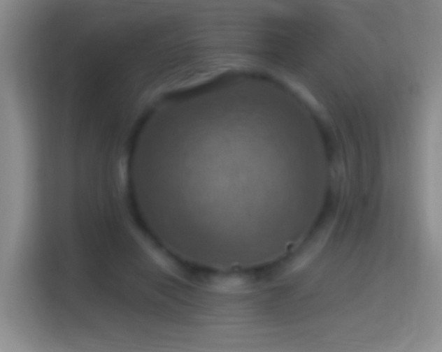 X0000114420454200910231209