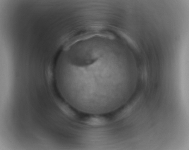 X0000114420455200910231209