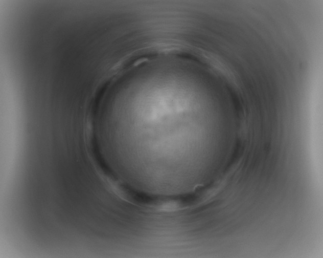 X0000114420456200910231209