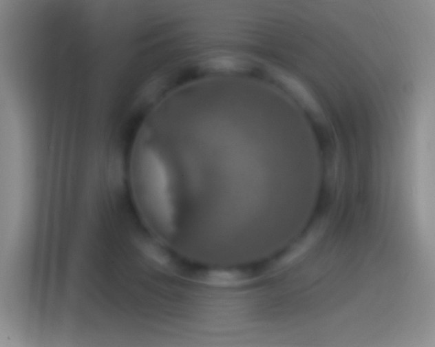 X0000114420457200910231210