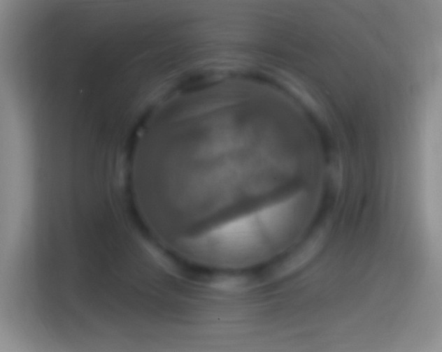 X0000114420458200910231210
