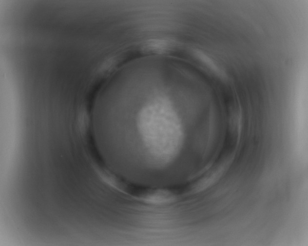 X0000114420459200910231210