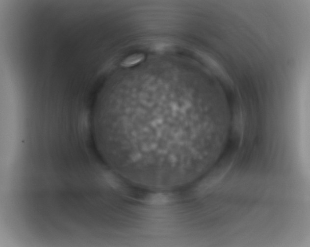 X0000114420461200910231210