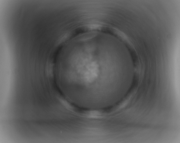 X0000114420462200910231210