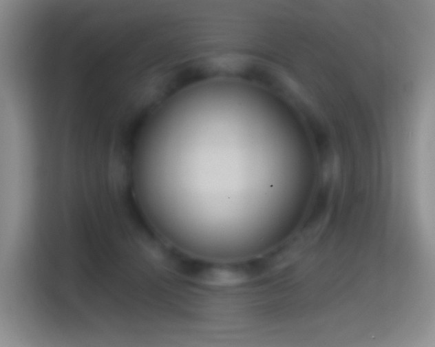 X0000114420464200910231210