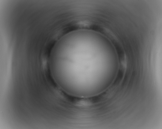X0000114420468200910231210