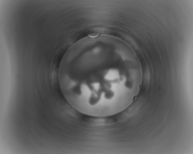X0000114420473200910231210