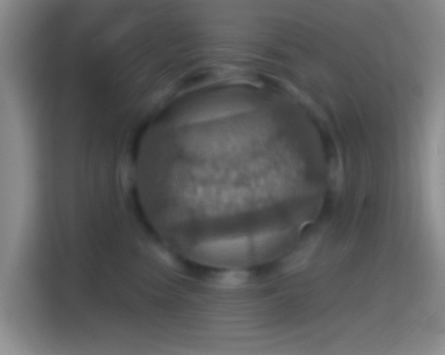 X0000114420474200910231210