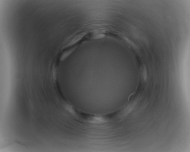 X0000114420475200910231210
