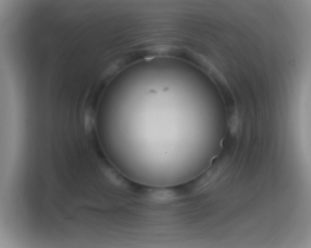 X0000114420476200910231210