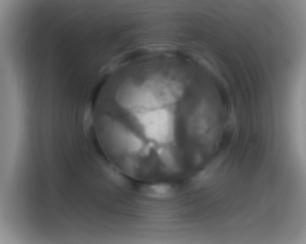 X0000114420478200910231210