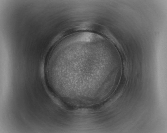 X0000114420482200910231209