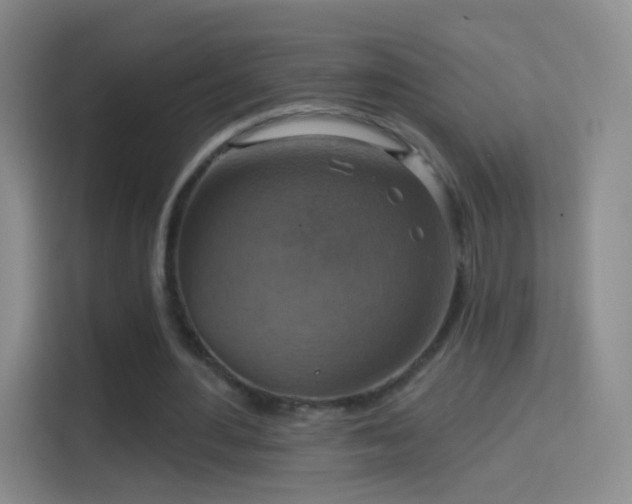 X0000114420484200910231209
