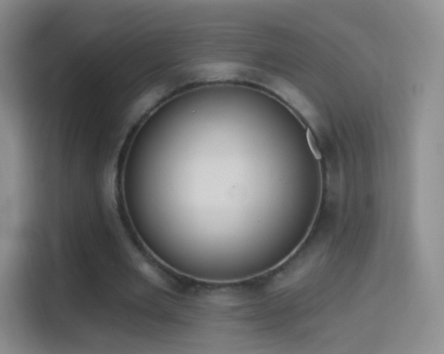 X0000114420485200910231209