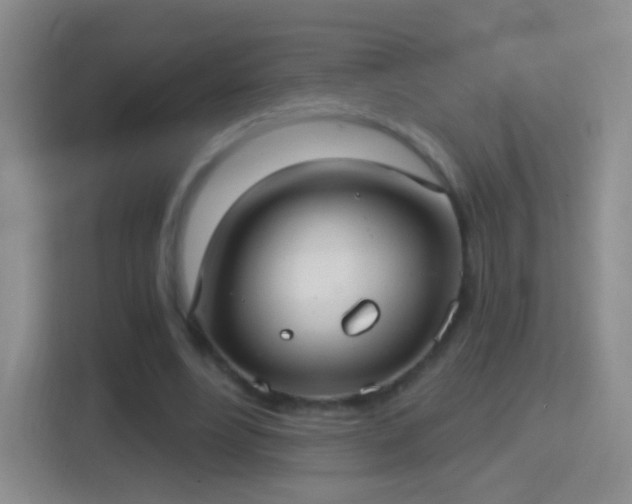 X0000114420488200910231209