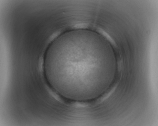 X0000114420490200910231209