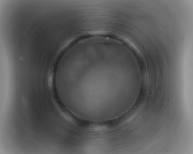 X0000114420491200910231209