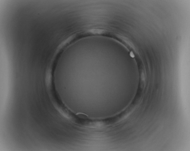 X0000114420492200910231209