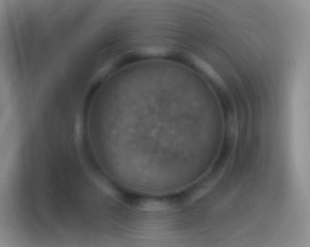 X0000114420494200910231209