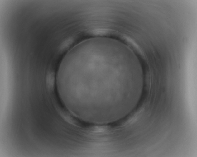 X0000114420495200910231209