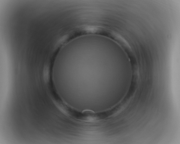 X0000114420496200910231209