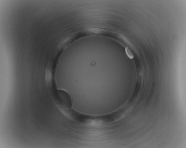 X0000114420500200910231209