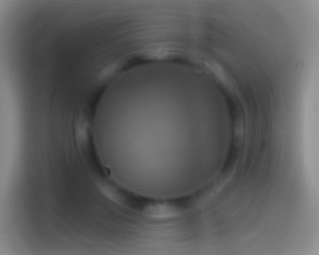 X0000114420503200910231209