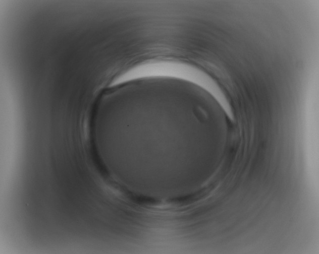 X0000114420504200910231209