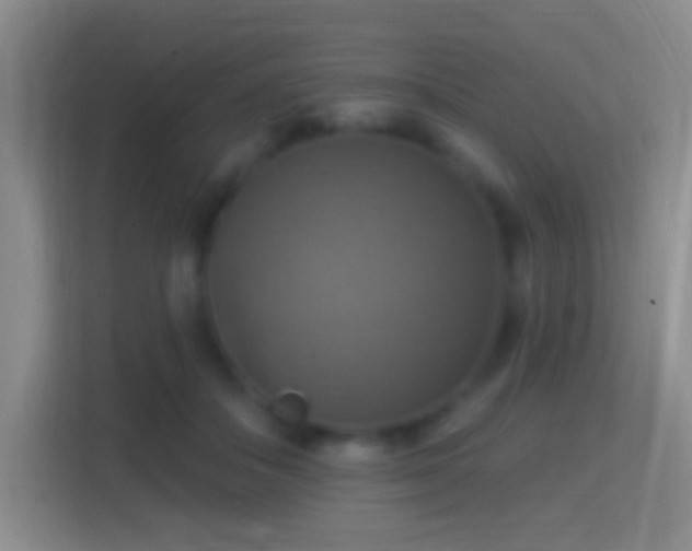 X0000114420506200910231209