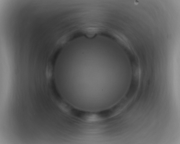 X0000114420507200910231209