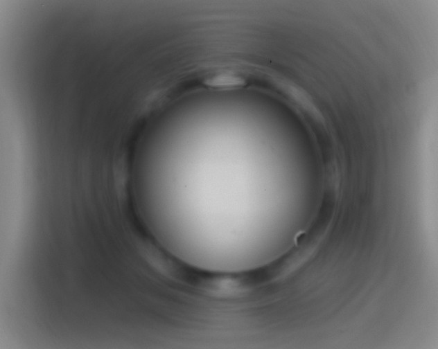 X0000114420509200910231209