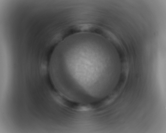 X0000114420510200910231209