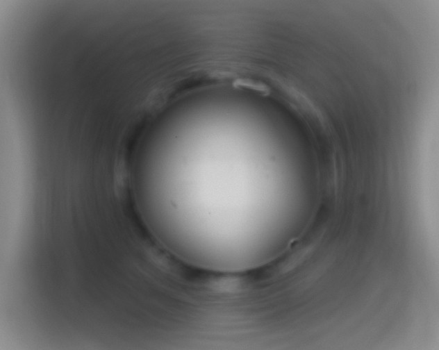 X0000114420513200910231209