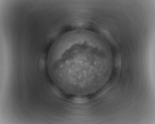 X0000114420515200910231209