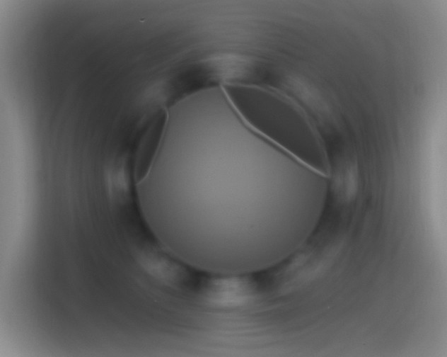 X0000114420516200910231209