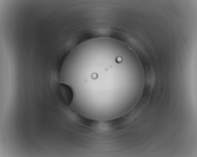 X0000114420518200910231209