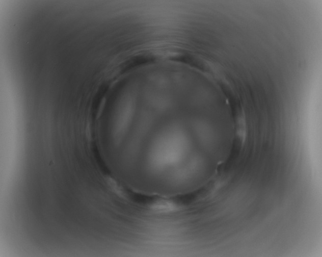 X0000114420519200910231209