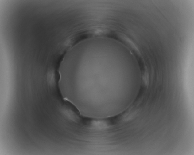 X0000114420520200910231209