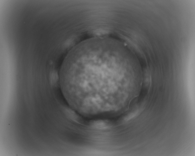 X0000114420523200910231209