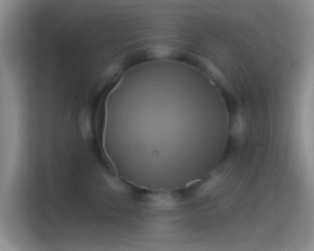 X0000114420524200910231209
