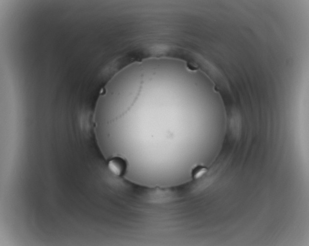 X0000114420525200910231209
