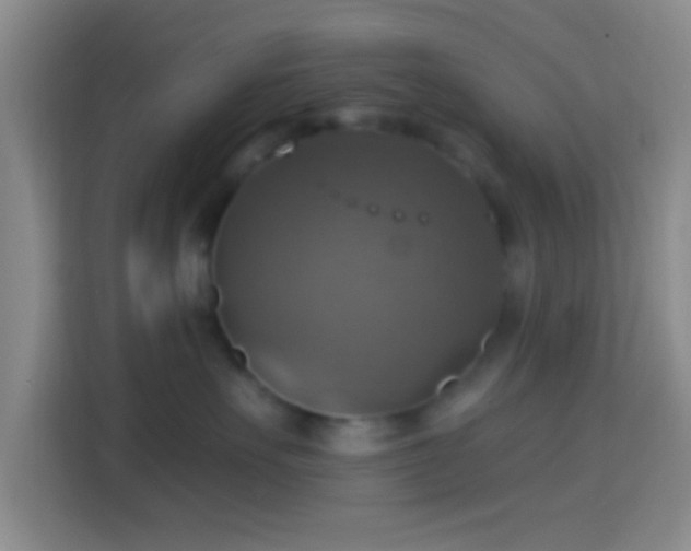 X0000114420527200910231209