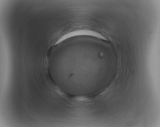 X0000114420528200910231209