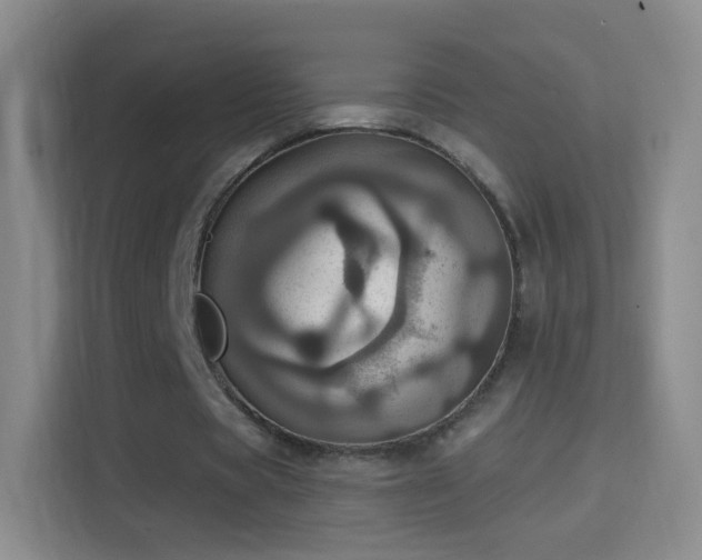 X0000114420529200910231208