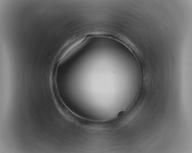X0000114420530200910231208