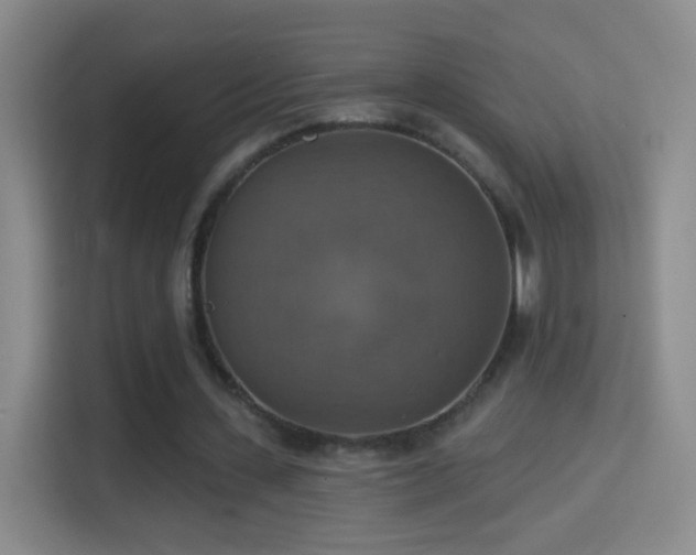 X0000114420531200910231208