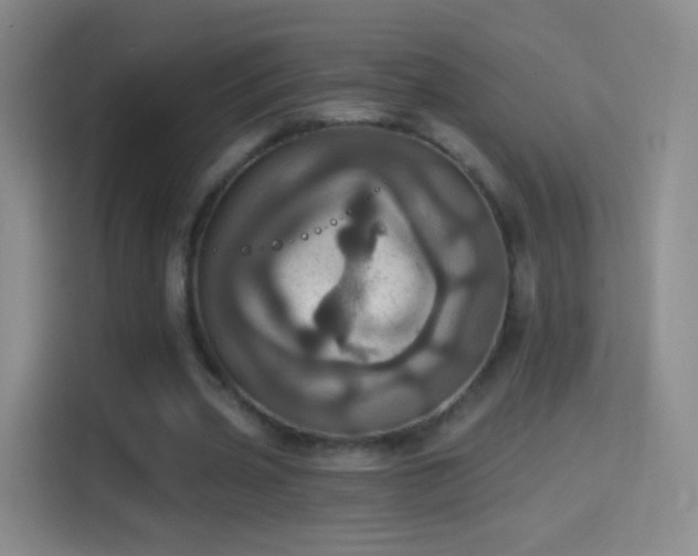 X0000114420533200910231208