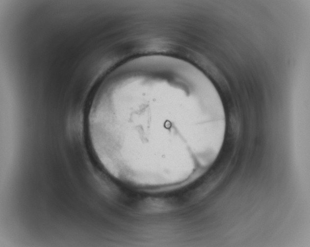 X0000114420534200910231208