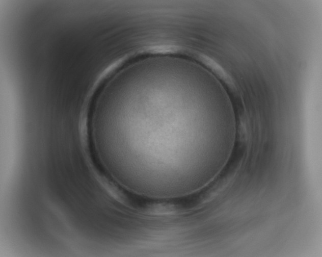 X0000114420535200910231208
